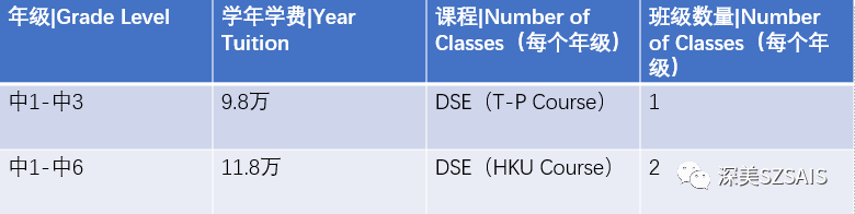深圳深美外籍人員子女學(xué)校2024-2025學(xué)年課程學(xué)費
